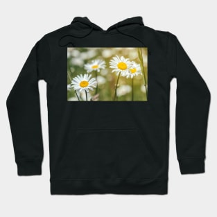 Daisies Hoodie